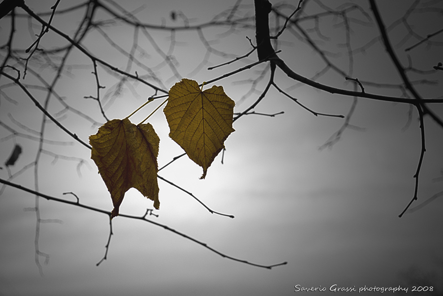 Resistere fino all'arrivo silenzioso della morte....
