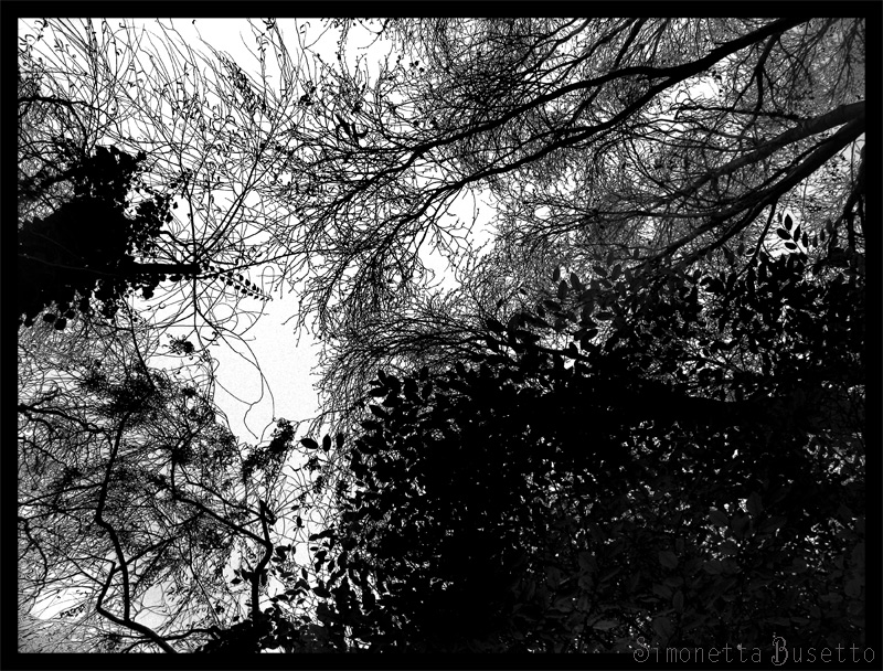 autunno in bianco e nero