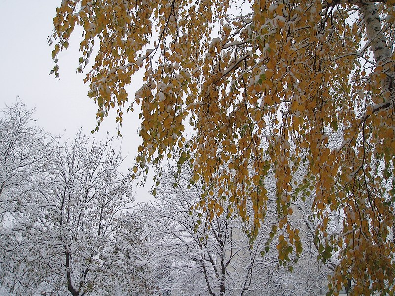 L'inverno � arrivato