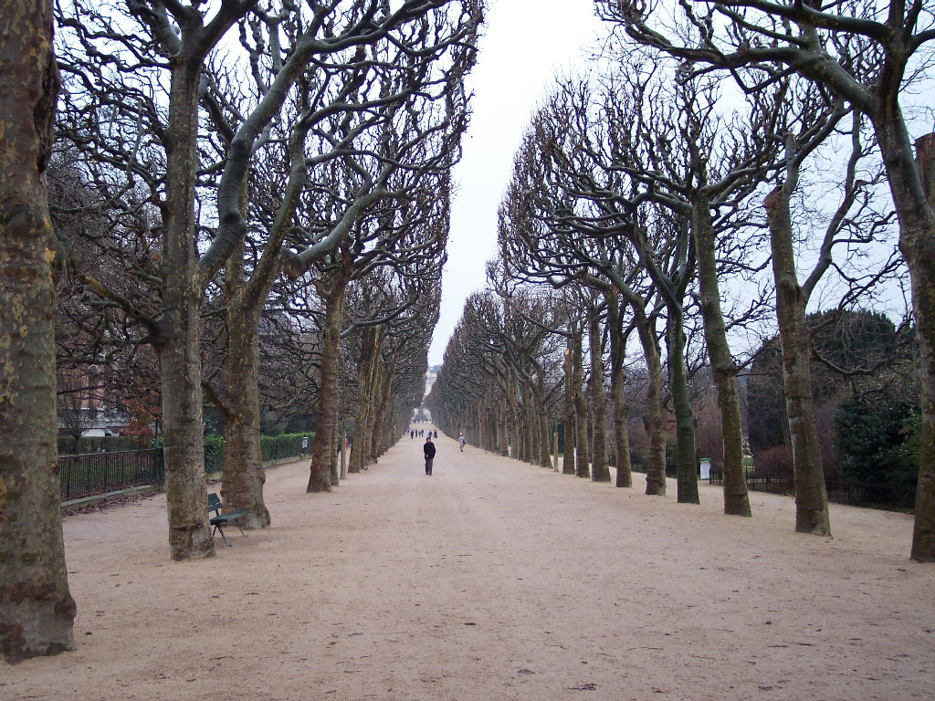 viale a Parigi
