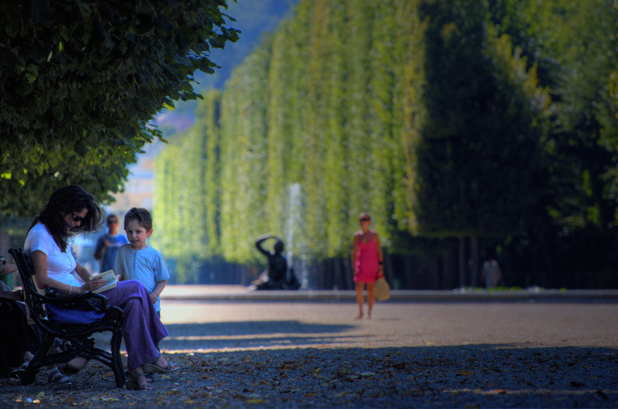 what are you reading ?