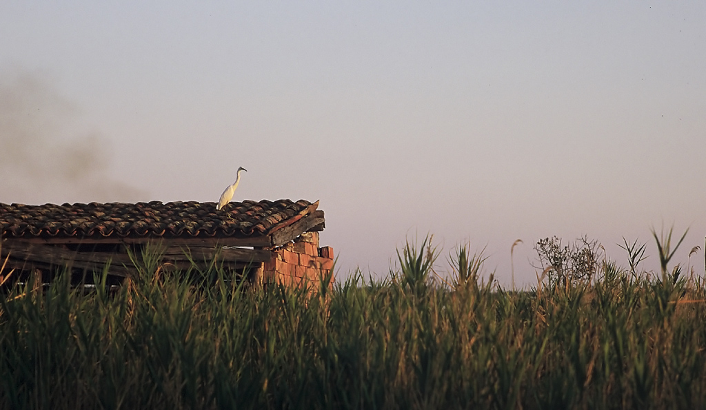 Laguna al tramonto 2