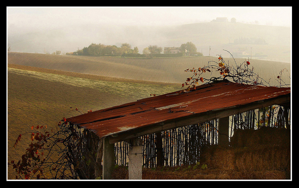 Nebbia autunnale sul vecchio fienile