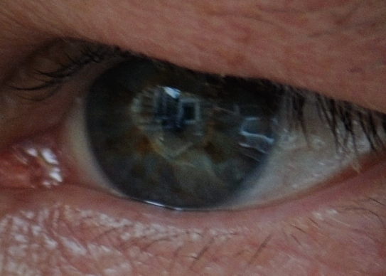 occhio sulla citt�