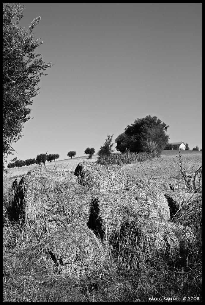 Reportage B/N - Landscape