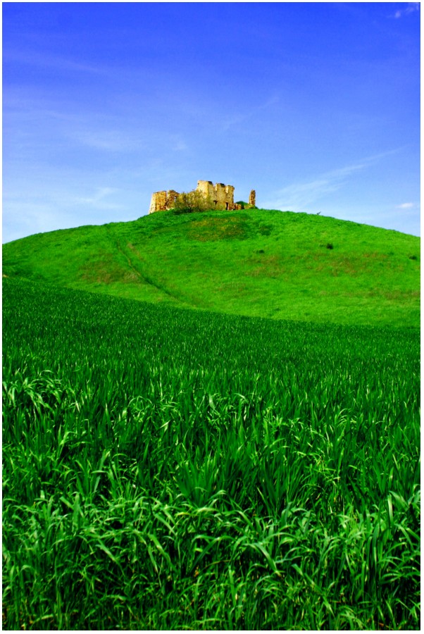 Verdi colline toscane