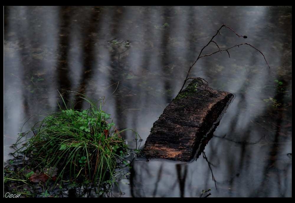 tutt'intorno...gelida...