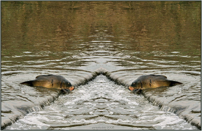 bocchegiando dalla paura