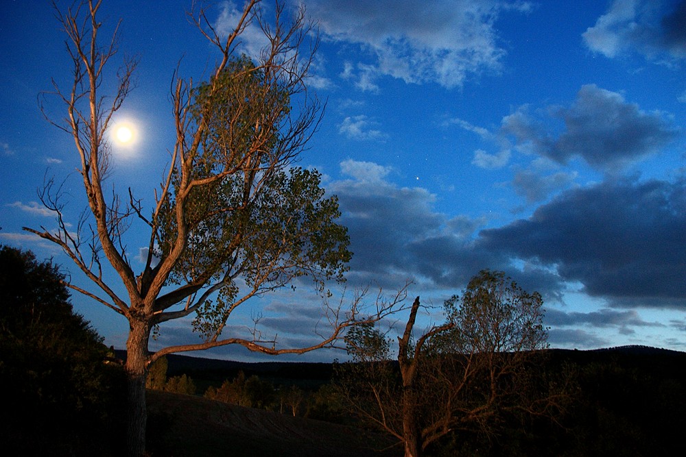 Notte di luna 2