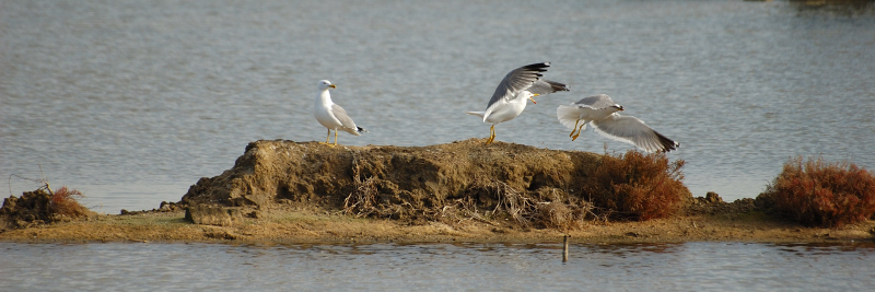 ...Non c'� posto per te!