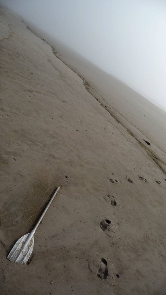 solitaria