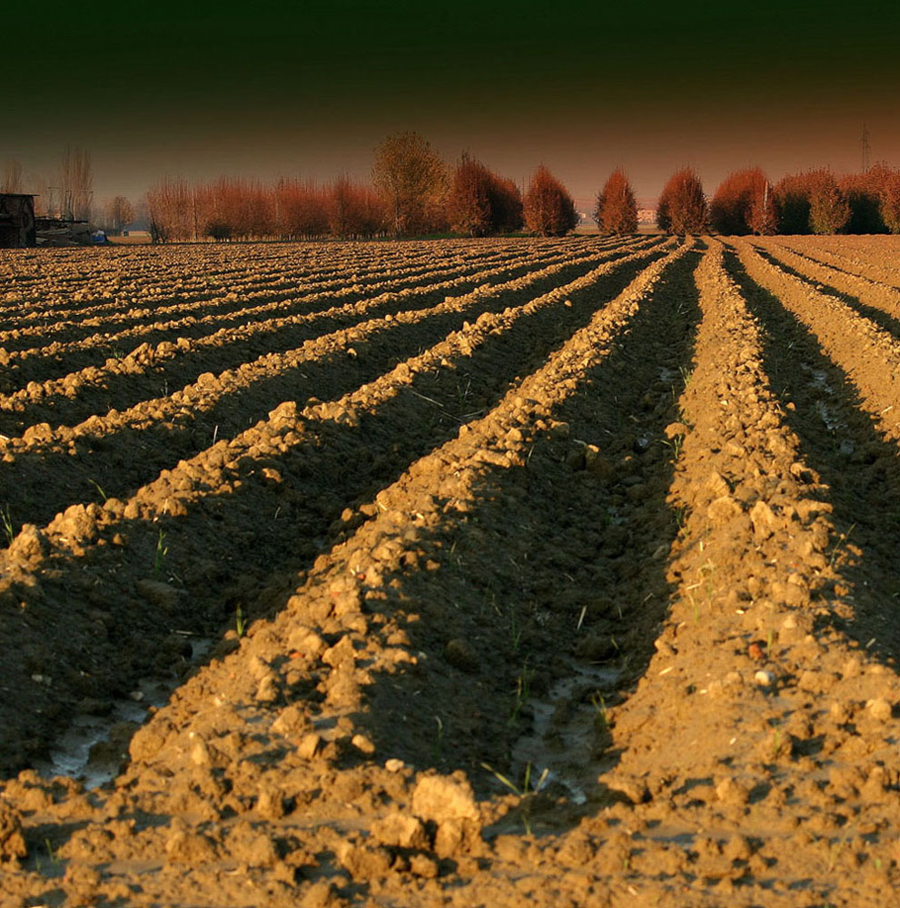 L'aratro segna il solco..(Bassa Bolognese)