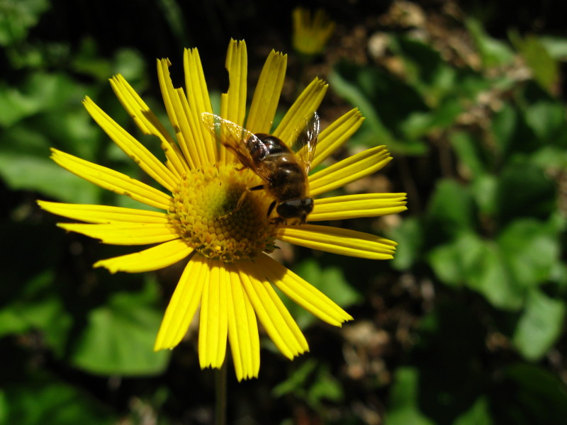 banalit� indispensabile..