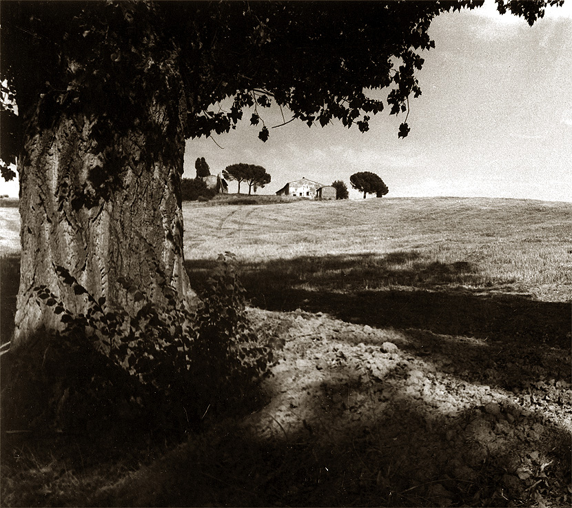 Fra le campagne di Vinci