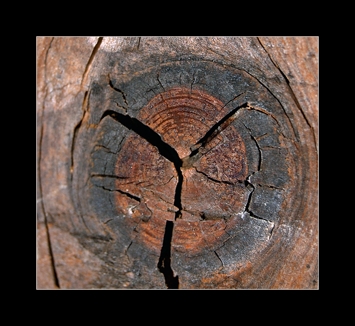 Fate l'amore e non la guerra