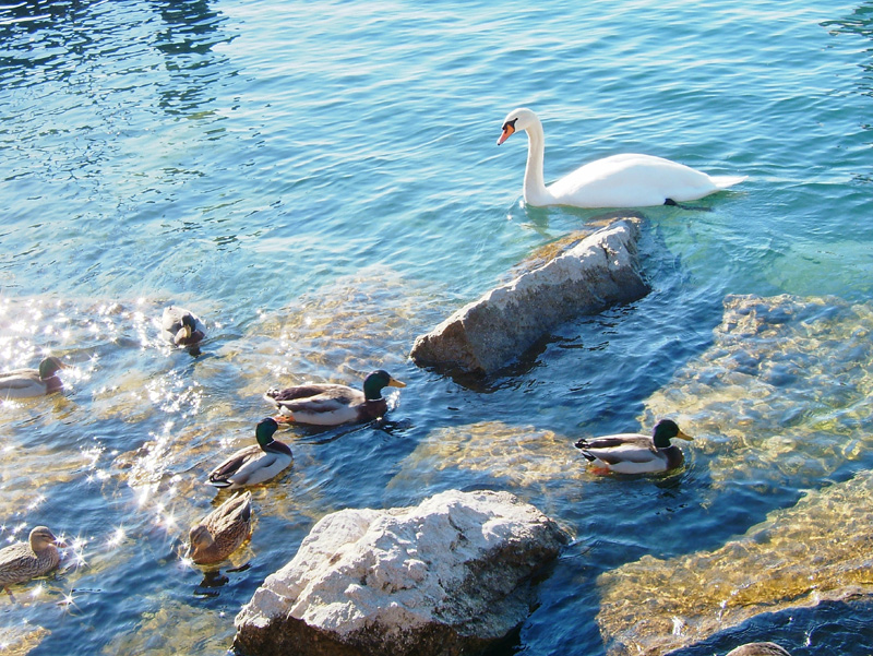 Lago di Garda