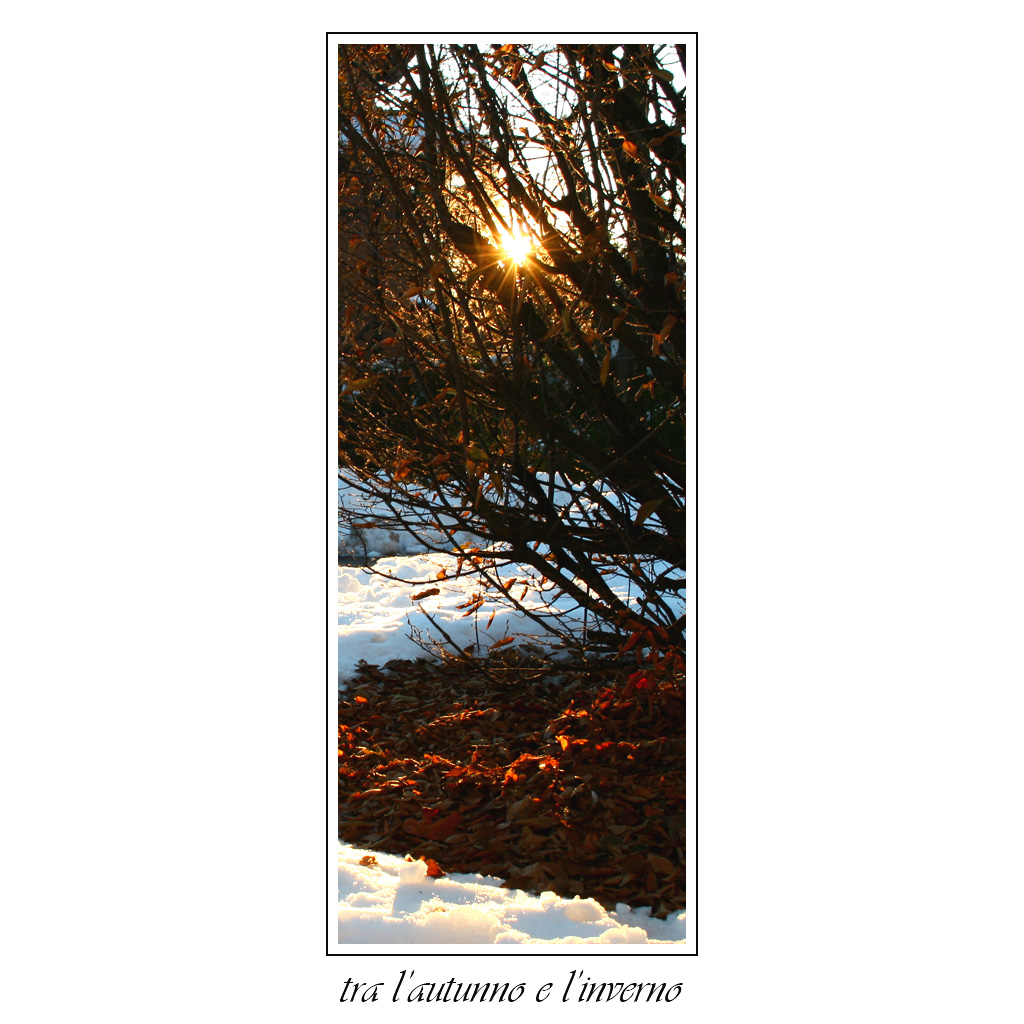 tra l'autunno e l'inverno