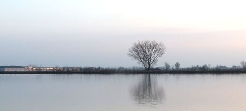 oasi "il Torrazzuolo"