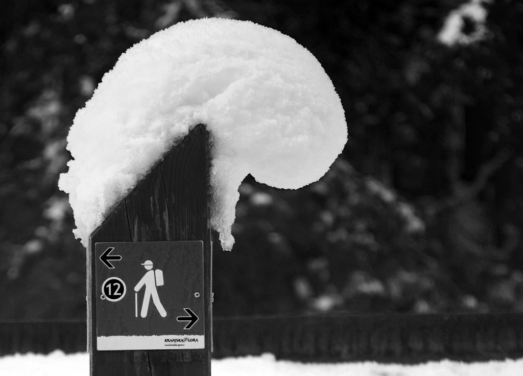 Passaggiando in montagna...