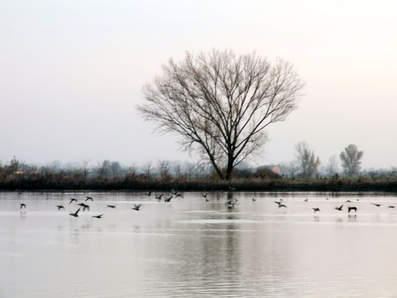 oasi "il Torrazzuolo"