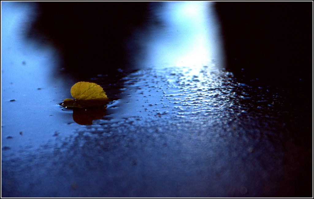 Non ho pi� rifugio