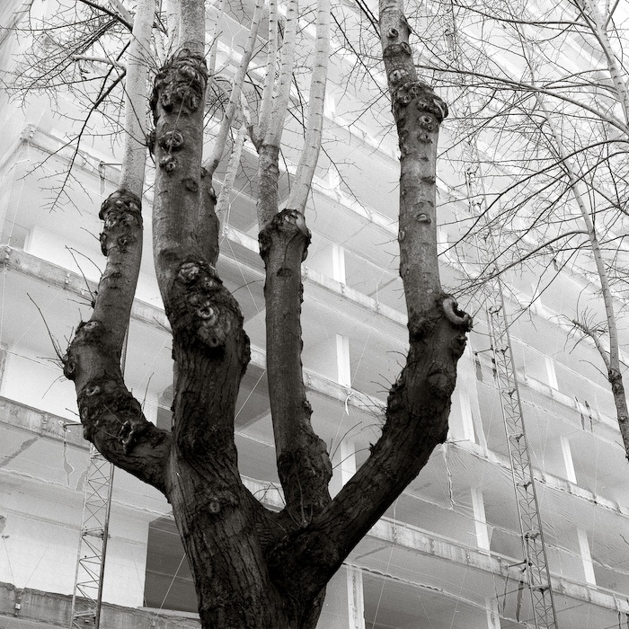 EUR 12 (serie in corso)