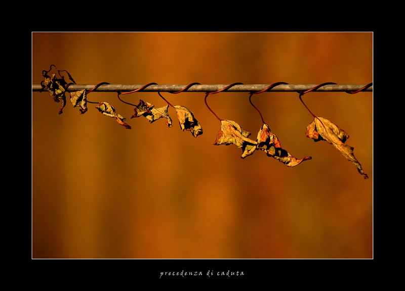 precedenza di caduta