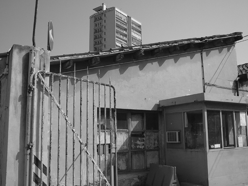 grattacieli a trieste2