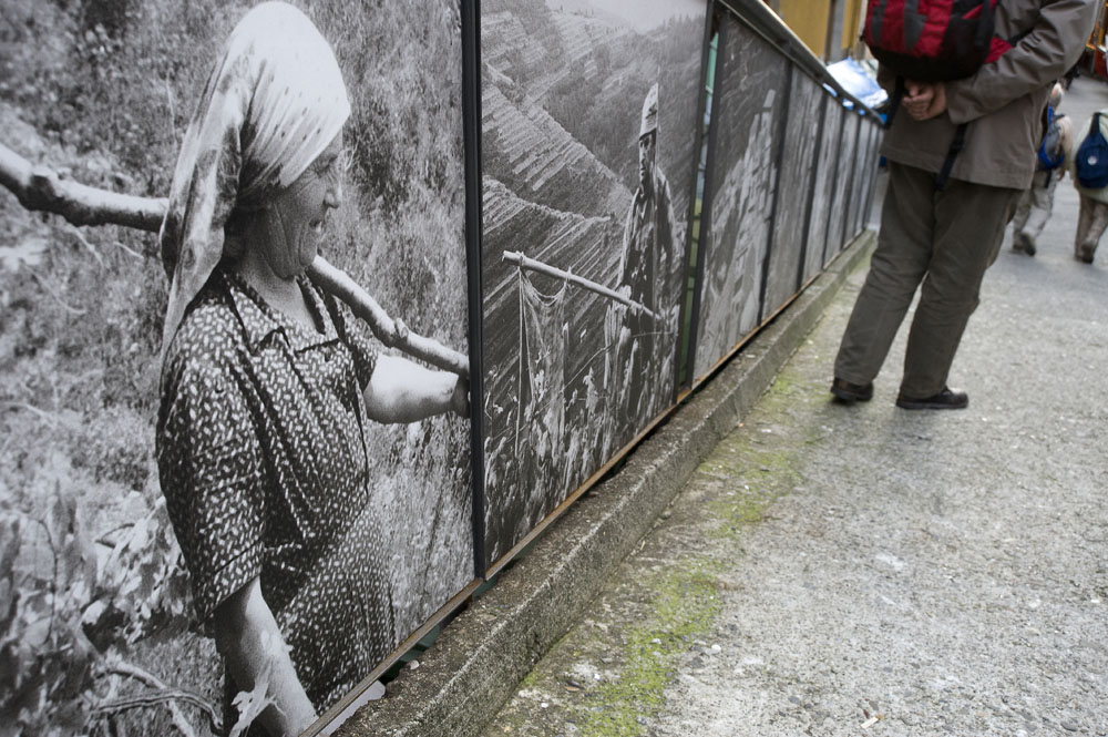 la guerra dei bastoni