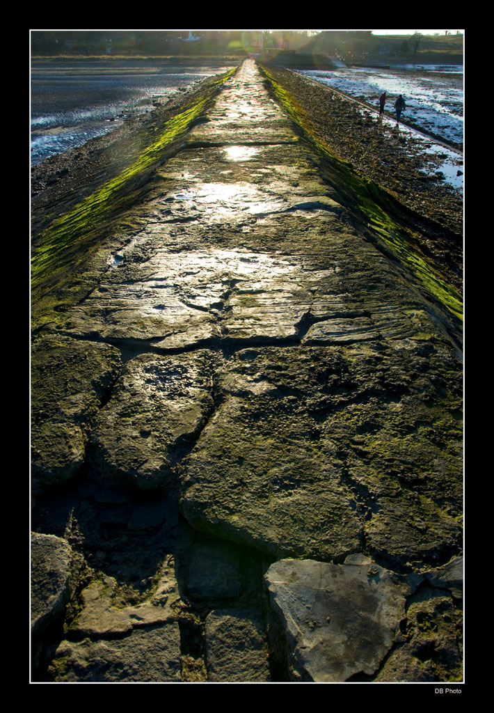 Sentiero verso terra - Cramon Island  Edinburgh