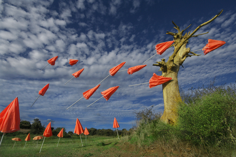 Dodge this if you can