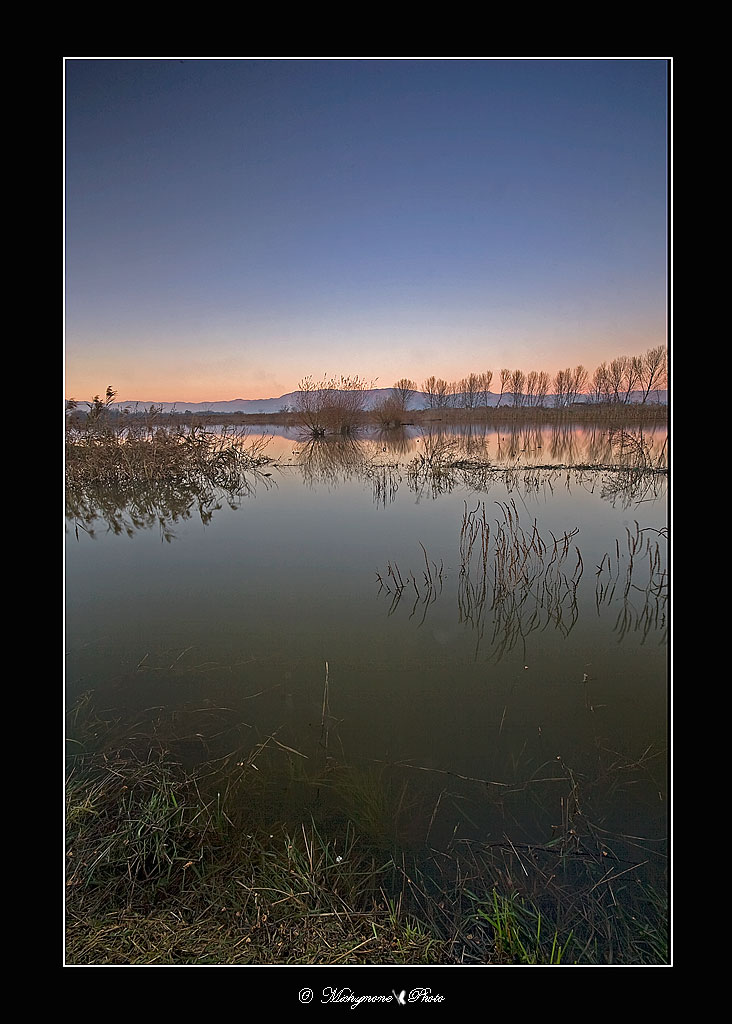 ...il padule e i riflessi