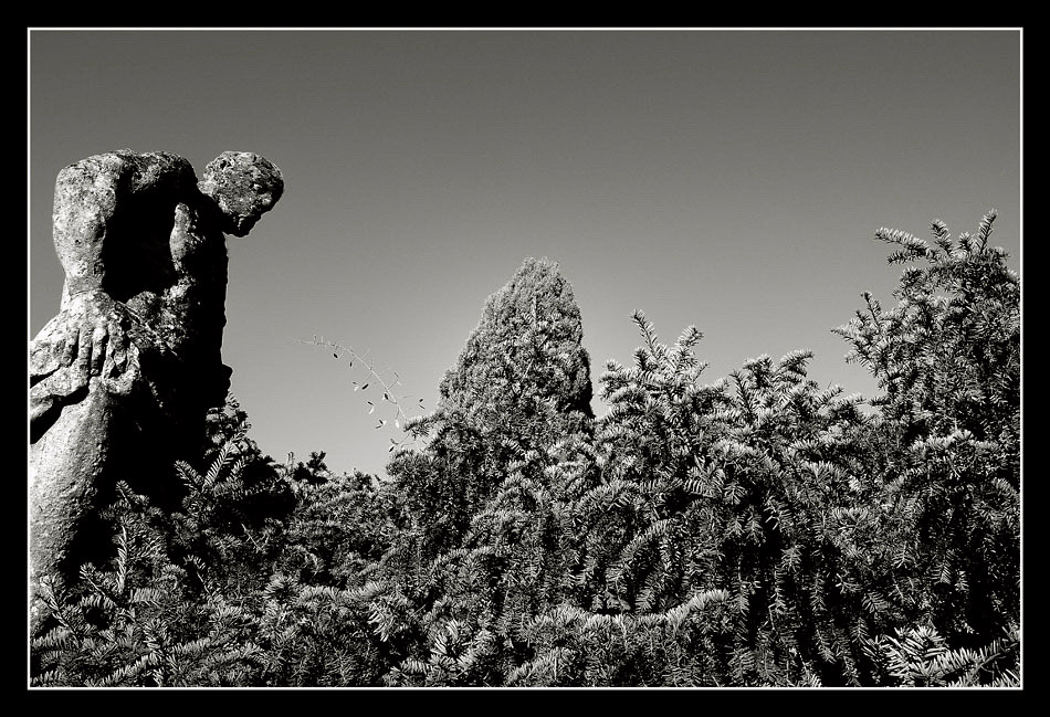 il giardiniere di pietra