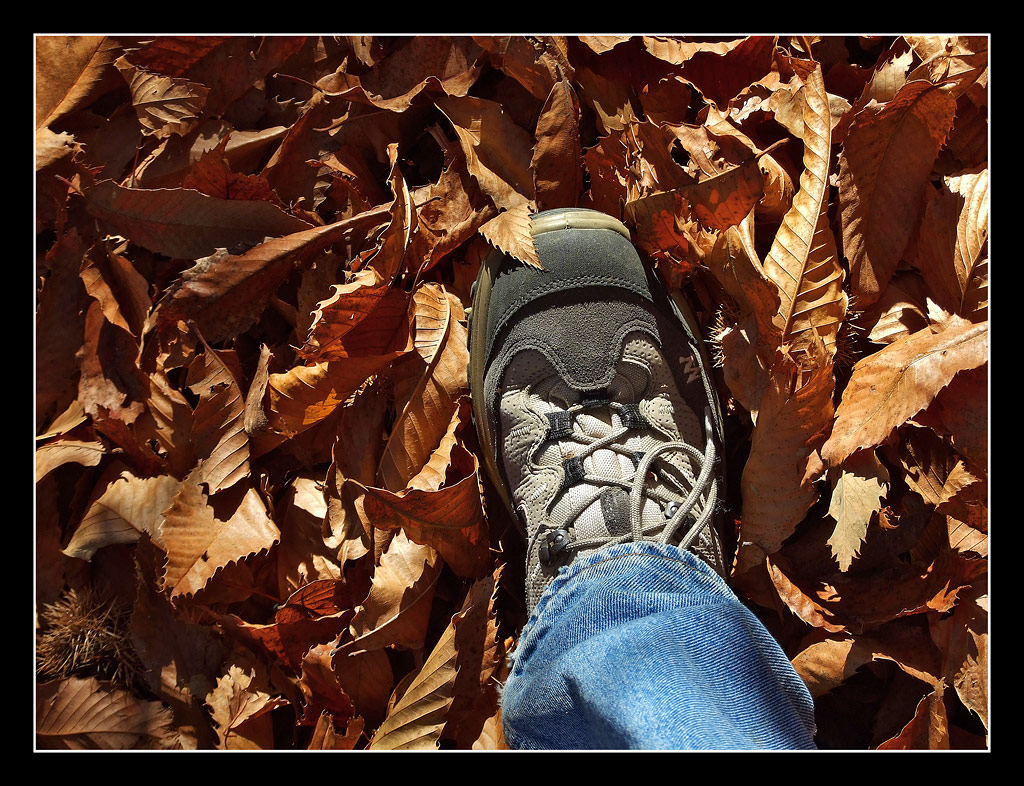 Passeggiata autunnale
