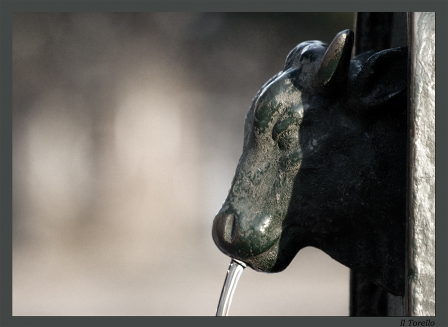 Il Torello