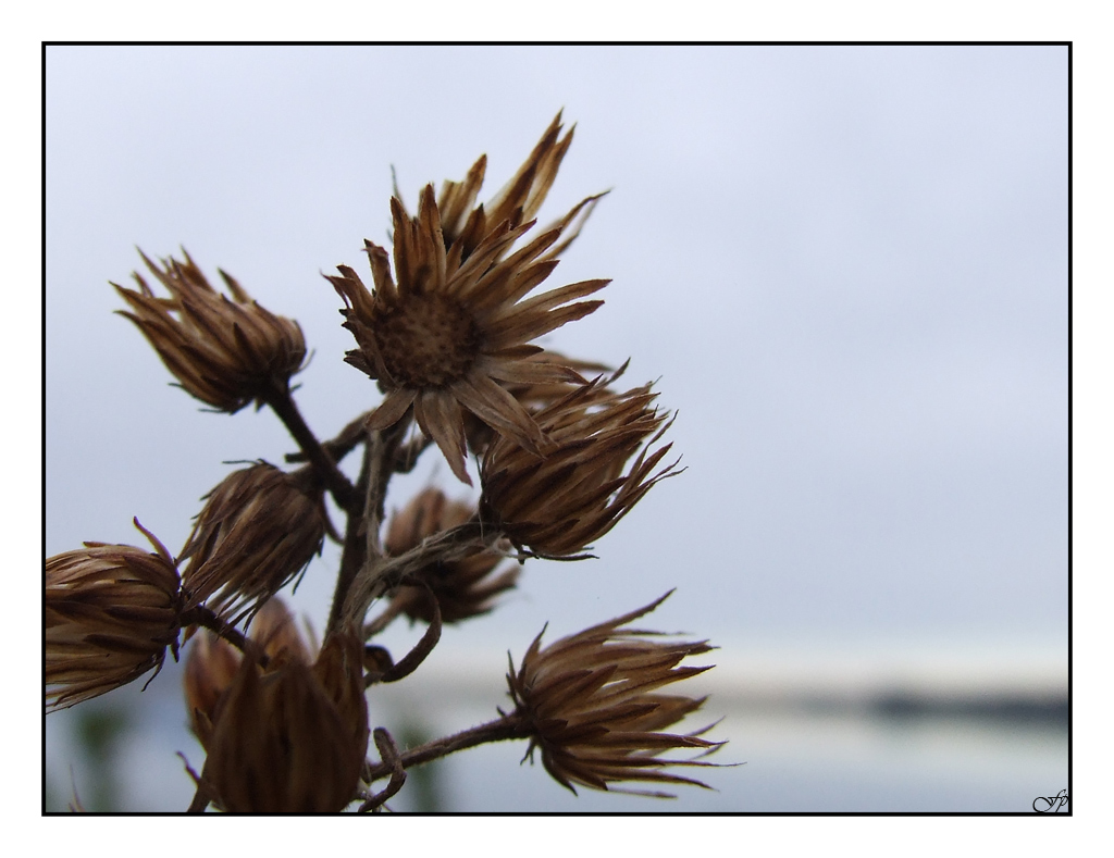 Svegliarsi pigri la mattina presto