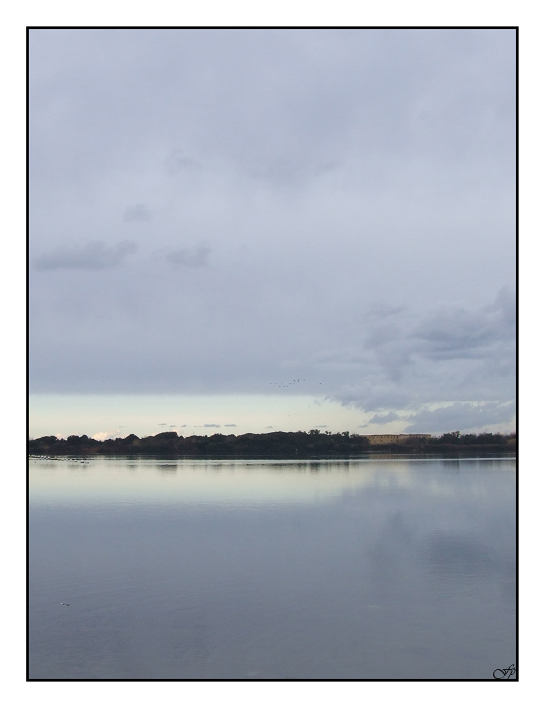 Riflesso di una mattina di dicembre