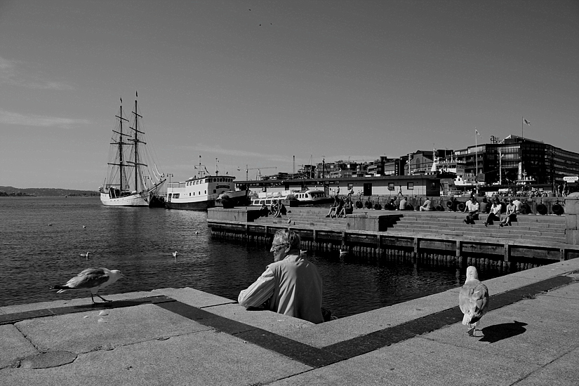 L'AMICO DEI GABBIANI