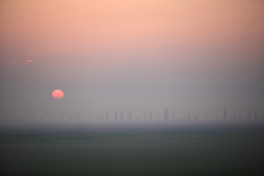 tramonto con nebbia nel delta del po