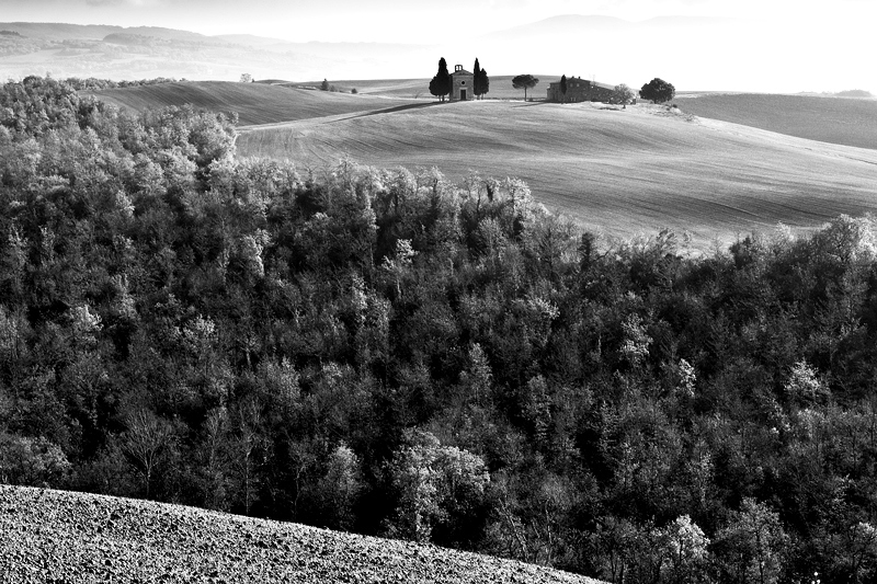 Val d'Orcia in b&n