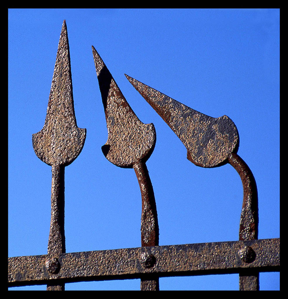 Che state guardando??