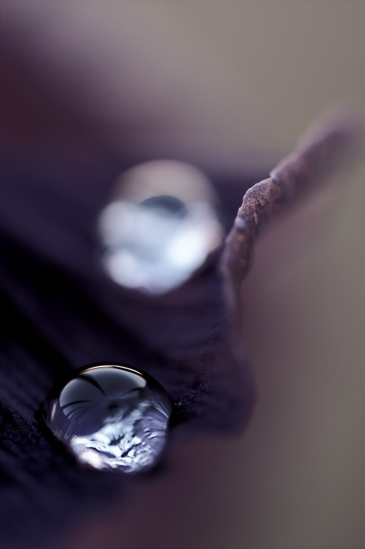 Palle Di Natale Al Naturale