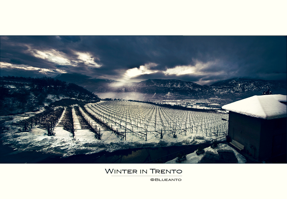 Winter in Trento