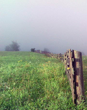 Anterselva al telefono