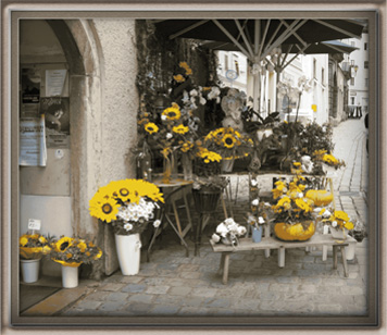 sunflower shop