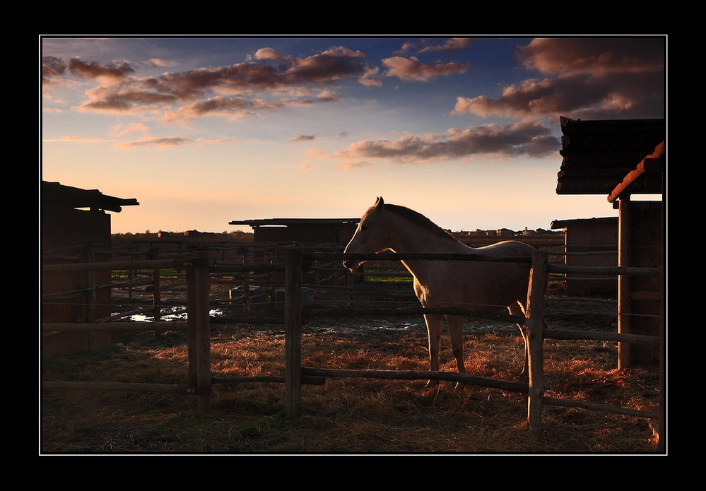 Libert� vo sognando...