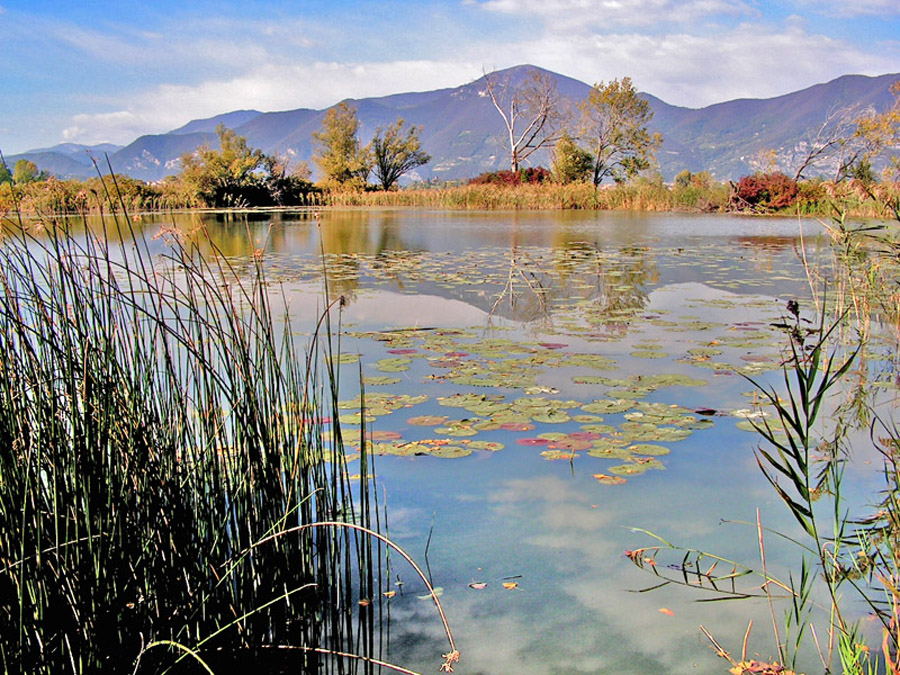 Le torbiere Del lago d'Iseo in autunno