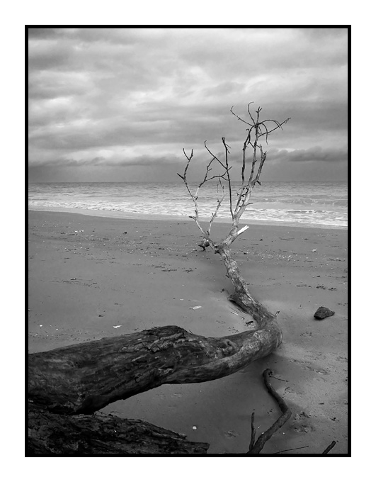 ...D'INVERNO , IL MARE...