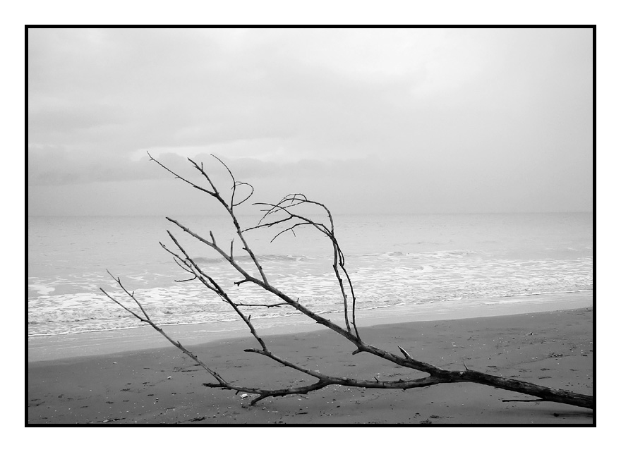 ...IL MARE D'INVERNO...