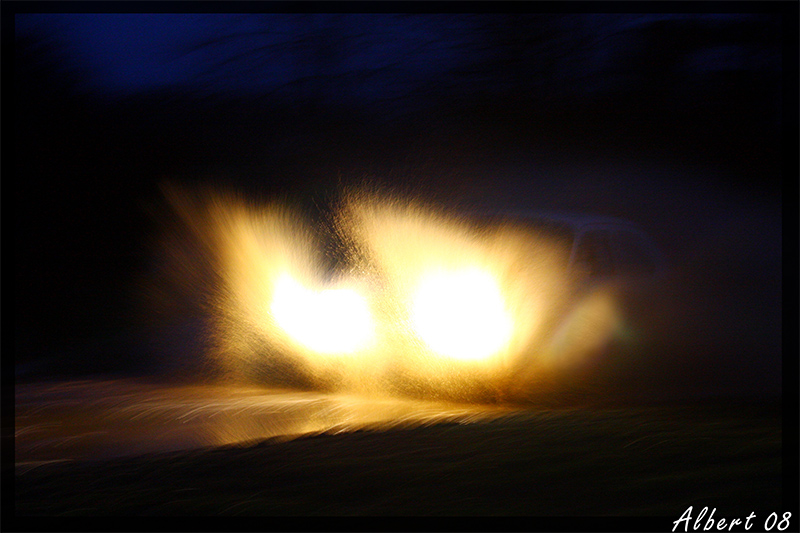 Rally Prealpi master 08